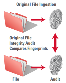 File Fingerprinting and Integrity Audit