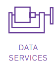 Data Services
